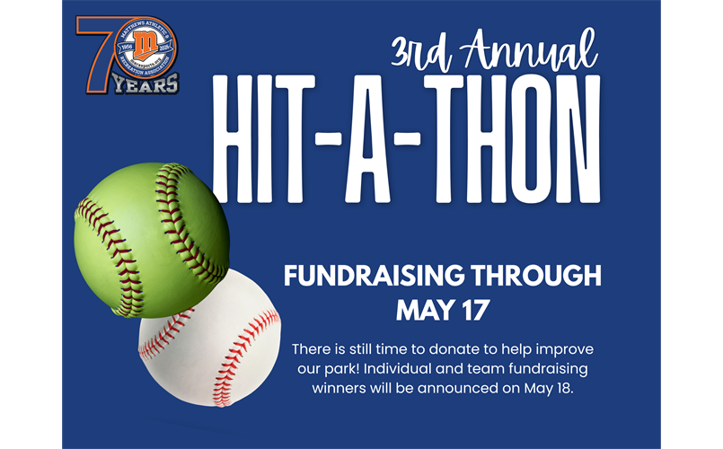 2026 Spring Hit-A-Thon - Help us Improve the Park!